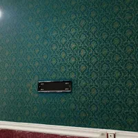 نقاشی ساختمان طرح کاغذدیواری|خدمات پیشه و مهارت|لنگرود, |دیوار