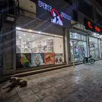تجاری-کارکنان-17شمالی