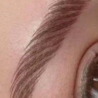 فیبرز هاشوروآموزش همه لاین ها