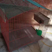 قفس ، ۲ عدد آبخوری پرنده ، ۱ عدد لونه پرنده