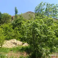 باغ-روستای-خور-علیا-جاده-کلات-نادر