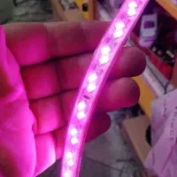 ریسه ال ای دی شیلنگی/بنفش