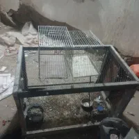 سع عدد قفس خوب