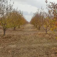 باغ قطره‌ای بالاتر از کمربندی نزدیکی ایستگاه گاز