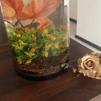 آکواریوم گرد