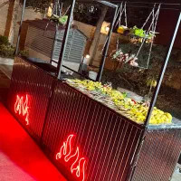 فینگرفود باربیکیو vip