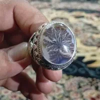 انگشتر شجر سازنده چزگی