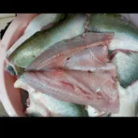 ماهی زنده وتازه وپرگوشت|ماهی|اراک, |دیوار