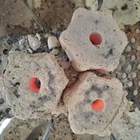 ذغال فشرده کبابی