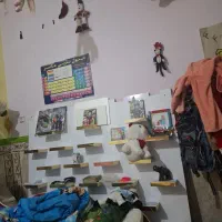 ام دی اف