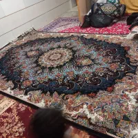 فرش|فرش|زنجان, |دیوار