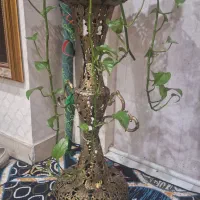 میوه خوری برنجی