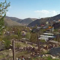 زمین