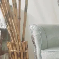 گل و گلدان بامبو|گل مصنوعی|تهران, منصوریه منگل|دیوار