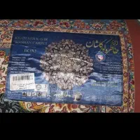 فرش ۹ و ۶ متری هزار شانه مناسب جهیزیه|فرش|تهران, سلسبیل شمالی|دیوار