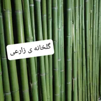 نی بامبو ، چوب|گل مصنوعی|چهاردانگه (تهران), |دیوار