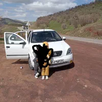 تیبا2مدل 97|خودرو سواری و وانت|کنگاور, |دیوار