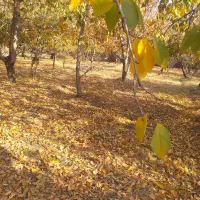 فروش زمین در لواسان کوچک روستایی کند|فروش زمین و ملک کلنگی|لواسان, |دیوار