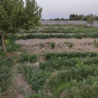 باغچه ۱۰۰۰متربادیوارکشی جاده طلاتپه چمکی|فروش زمین و ملک کلنگی|ارومیه, |دیوار
