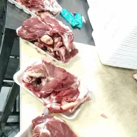 گوشت گوسفندی گوساله شتر|خوردنی و آشامیدنی|شیراز, مسلم|دیوار