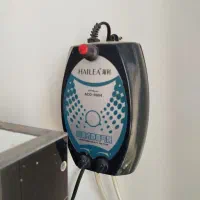 آکواریوم شیشه خم|ماهی|پاکدشت, پاکدشت (مامازند)|دیوار