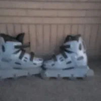 اسکت