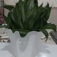 گل زیباوساعت موتورش خرابه