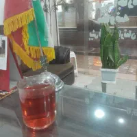 گم شدن مدارک