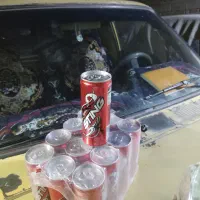 عمده آبمیوه دلستر