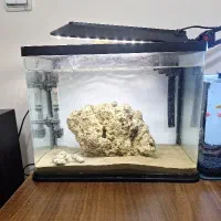 اکواریوم شرکتی