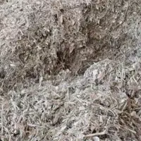کاه لوبیا سفید بسیار تمیز