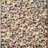 فروش عمده انجیر خشک استهبان