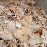 نان خشک فروشی