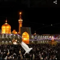 مشهد مقدس قیمت مناسب  فردا حرکت