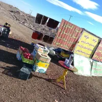 نیرو کار جهت فروشندگی