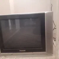 تلویزیون