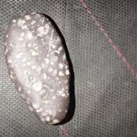 شهاب سنگ|کلکسیون اشیاء عتیقه|بجنورد, |دیوار