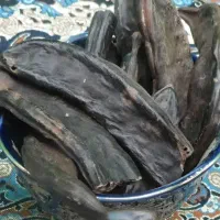 خرنوب