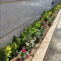 سلام تمامیه کارهای باغبانی انجام میشود