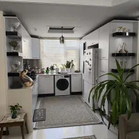 پرده زبرا در حد