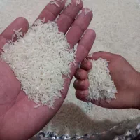 برنج ۹۰روزه تمیز