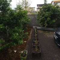 ویلا اپارتمان ۹۰ متری حیاط دار چالوس