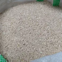 نیم دانه هاشمی