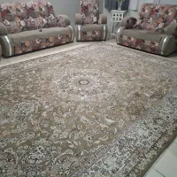 فرش|فرش|فولادشهر, B2|دیوار