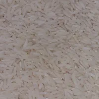 برنج هاشمی   ( آستانه اشرفیه)