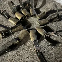 زنگوله