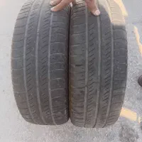 لاستیک ساینا