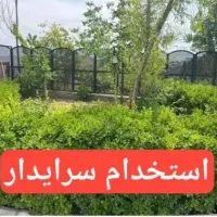 نگهبان و سرایدار