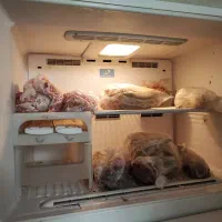 مارک هیتاچی|یخچال و فریزر|تهران, سازمان برنامه شمالی|دیوار