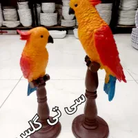 ظروف کادویی و دکوری و سرامیکی|ظروف سرو و پذیرایی|اردکان, |دیوار